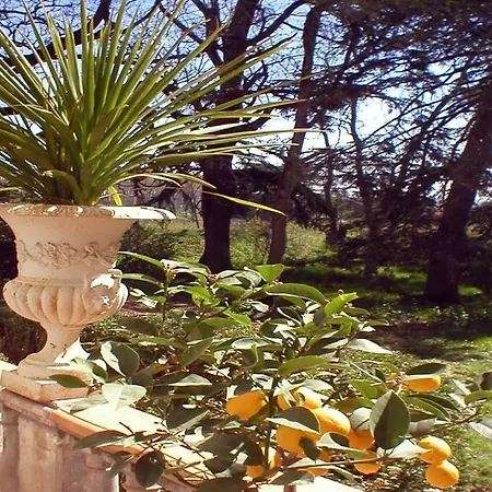 Chateau Sainte Cecile * 盖亚克