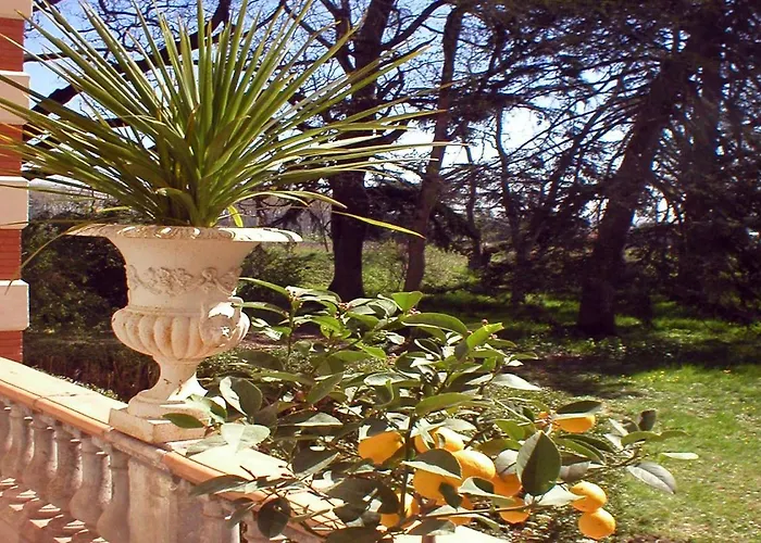 Chateau Sainte Cecile * 가이약