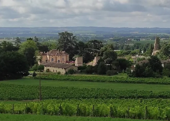 Chateau Sainte Cecile 가이약