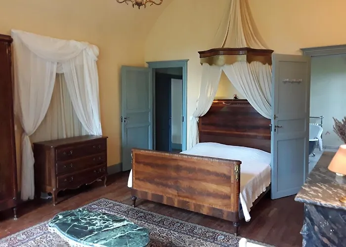 Chateau Sainte Cecile 가이약