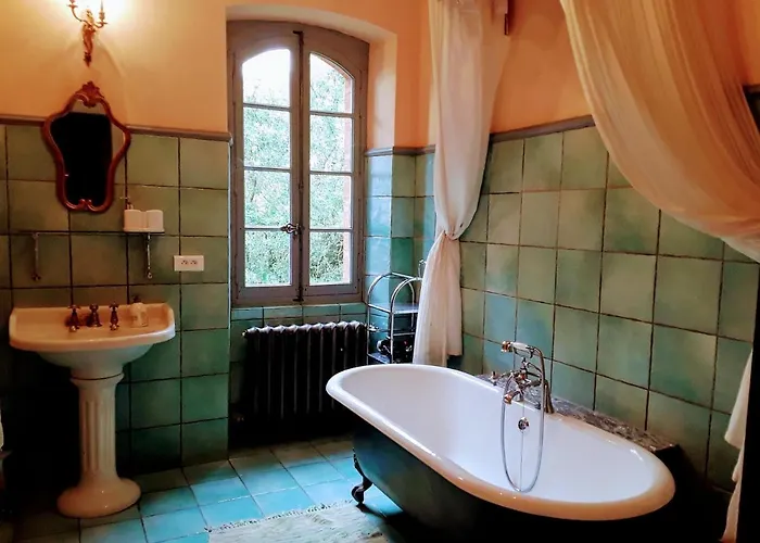 Chateau Sainte Cecile * 가이약