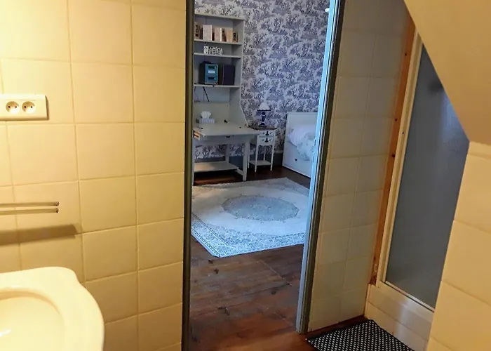 Chateau Sainte Cecile 가이약