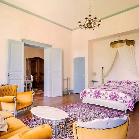 Сasa de vacaciones Château Sainte Cécile Gaillac